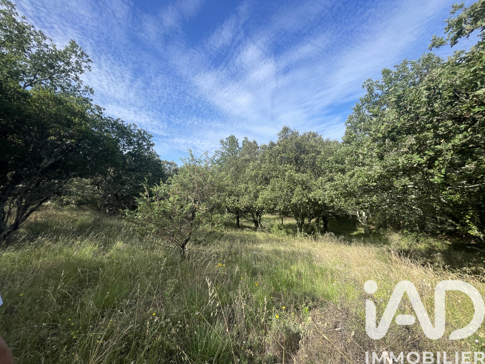 Terrain – 4 376 m²