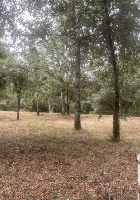 Terrain – 4 376 m²