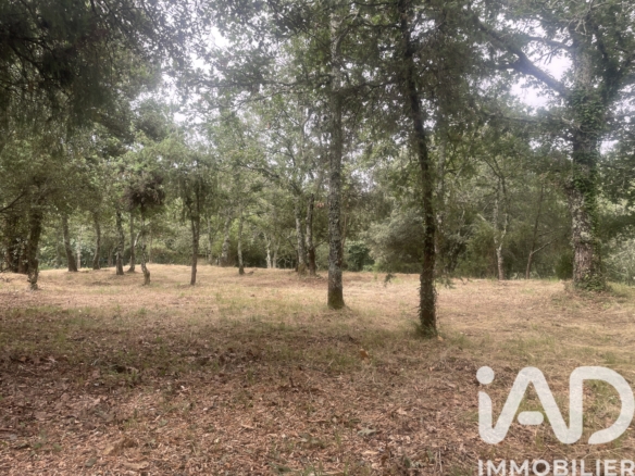 Terrain – 4 376 m²