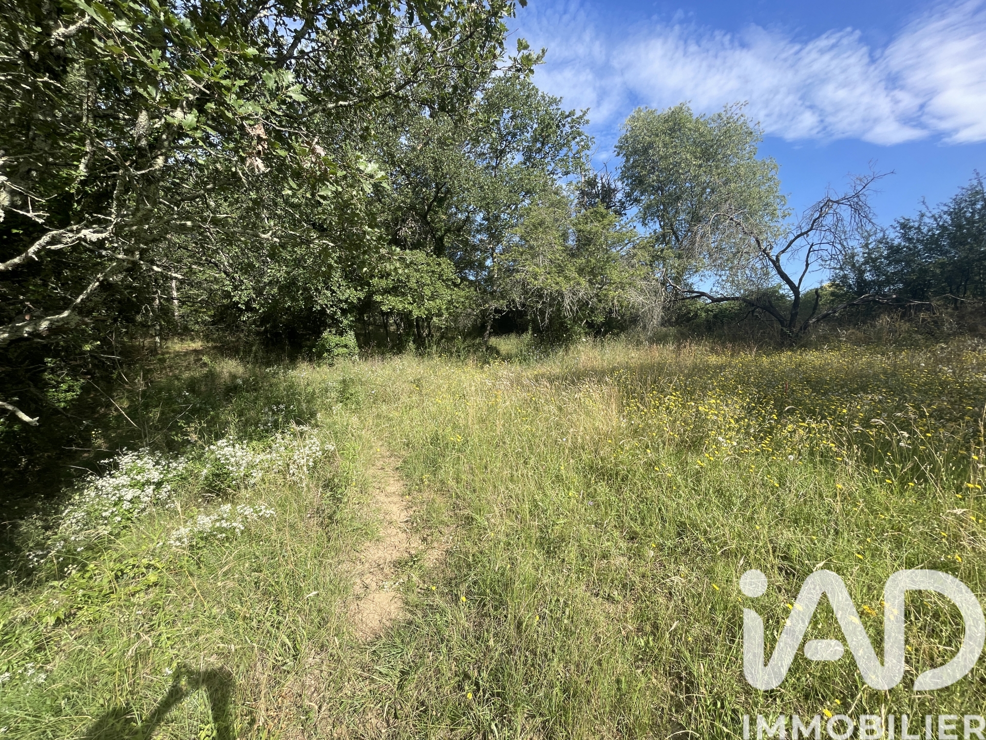 Terrain – 4 376 m²